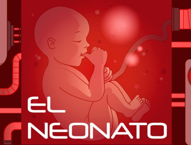 El neonato